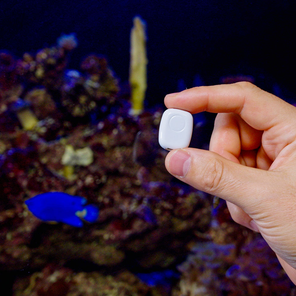 the-pill-by-shelly-smart-sensor-kompakt image 7