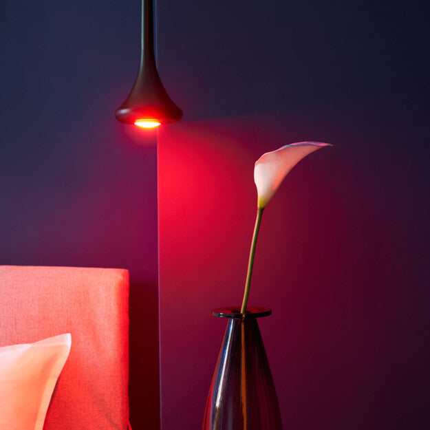 shelly-duo-gu10-rgbw-smart-lampe-dimmbar-wlan-leuchtmittel image 3