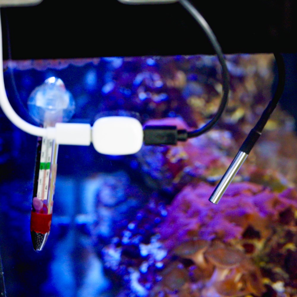 shelly-ds18b20-temperatursensor-3-5mm-klinke-zubeh-r image 3