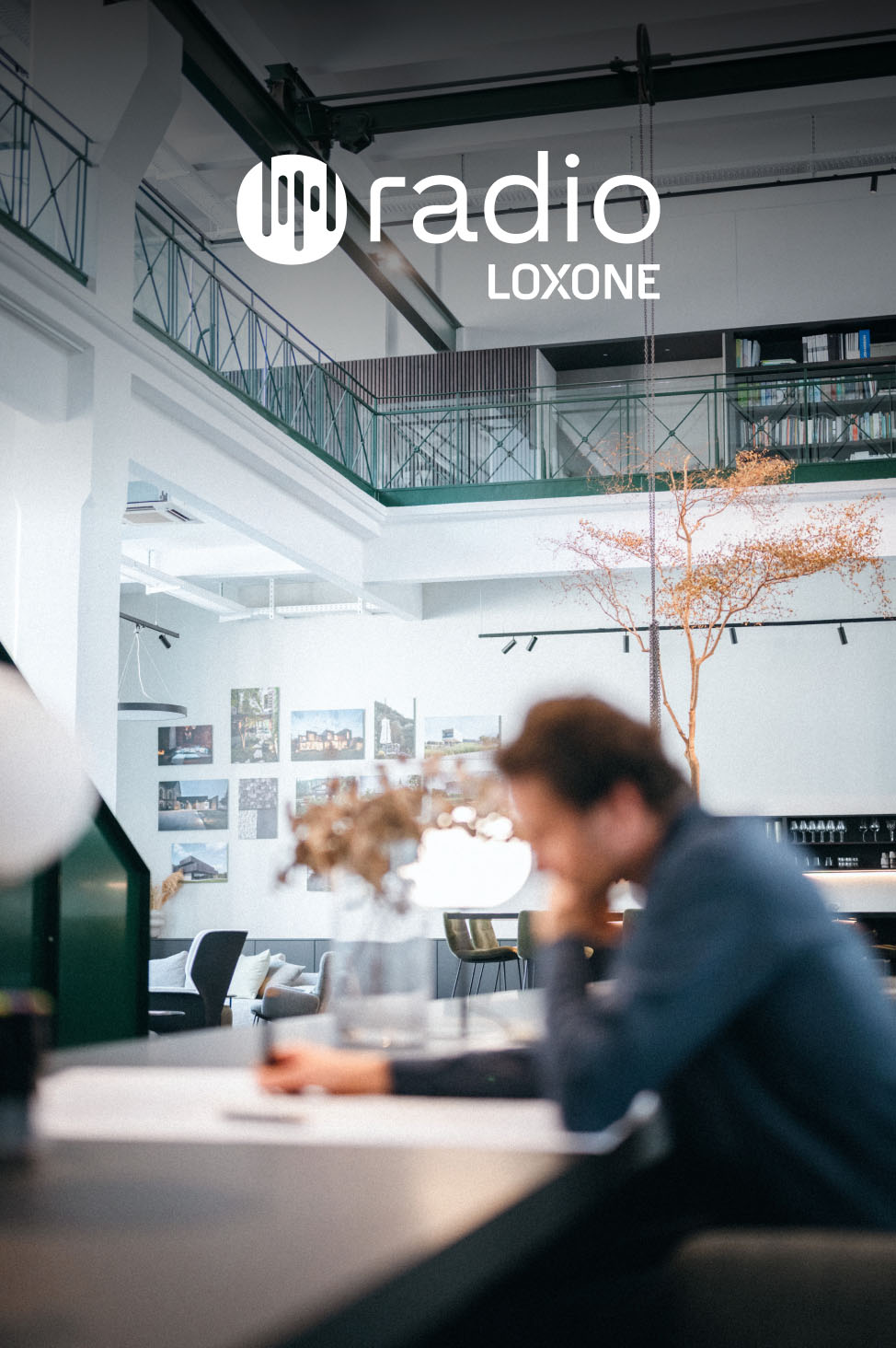 loxone-remote-funkfernbedienung-mit-radio image 2